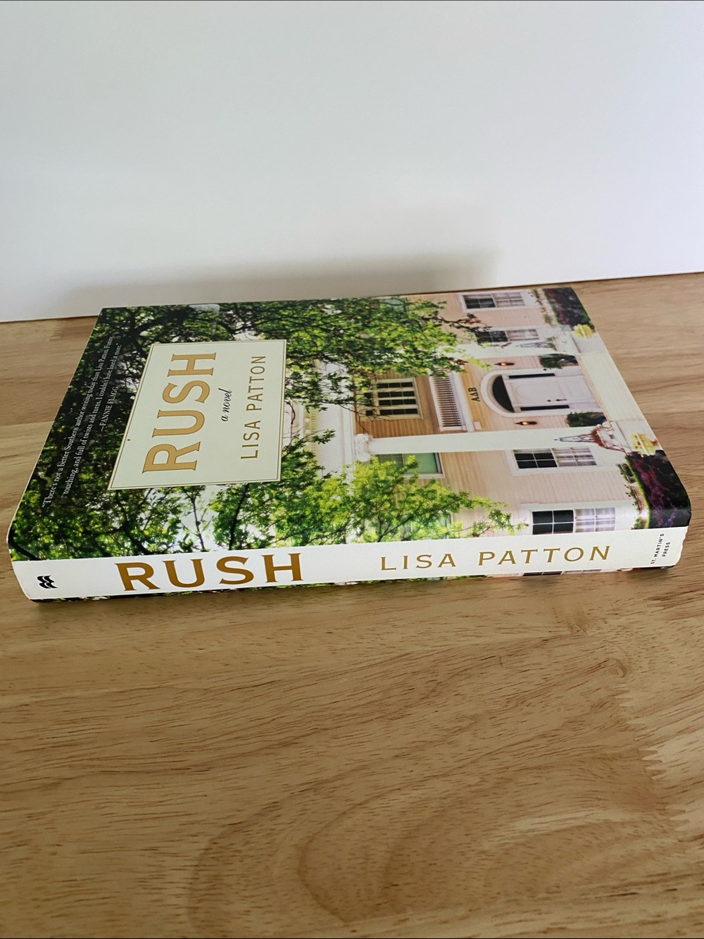 Rush A Novel by Lisa Patton Hardcover Fiction Bestselling Must-Read - Picture 7 of 8